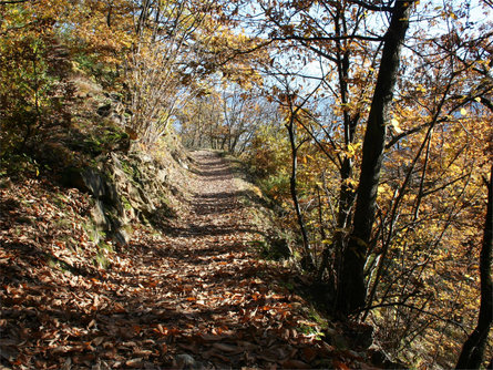 Sentiero per "Terrainkur" n° 5 - Parcines – sentiero panoramico Monte Sole - Naturno Naturno 1 suedtirol.info