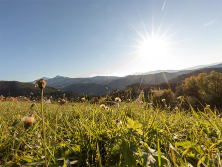 Sentiero "Taufen" Nova Levante 1 suedtirol.info