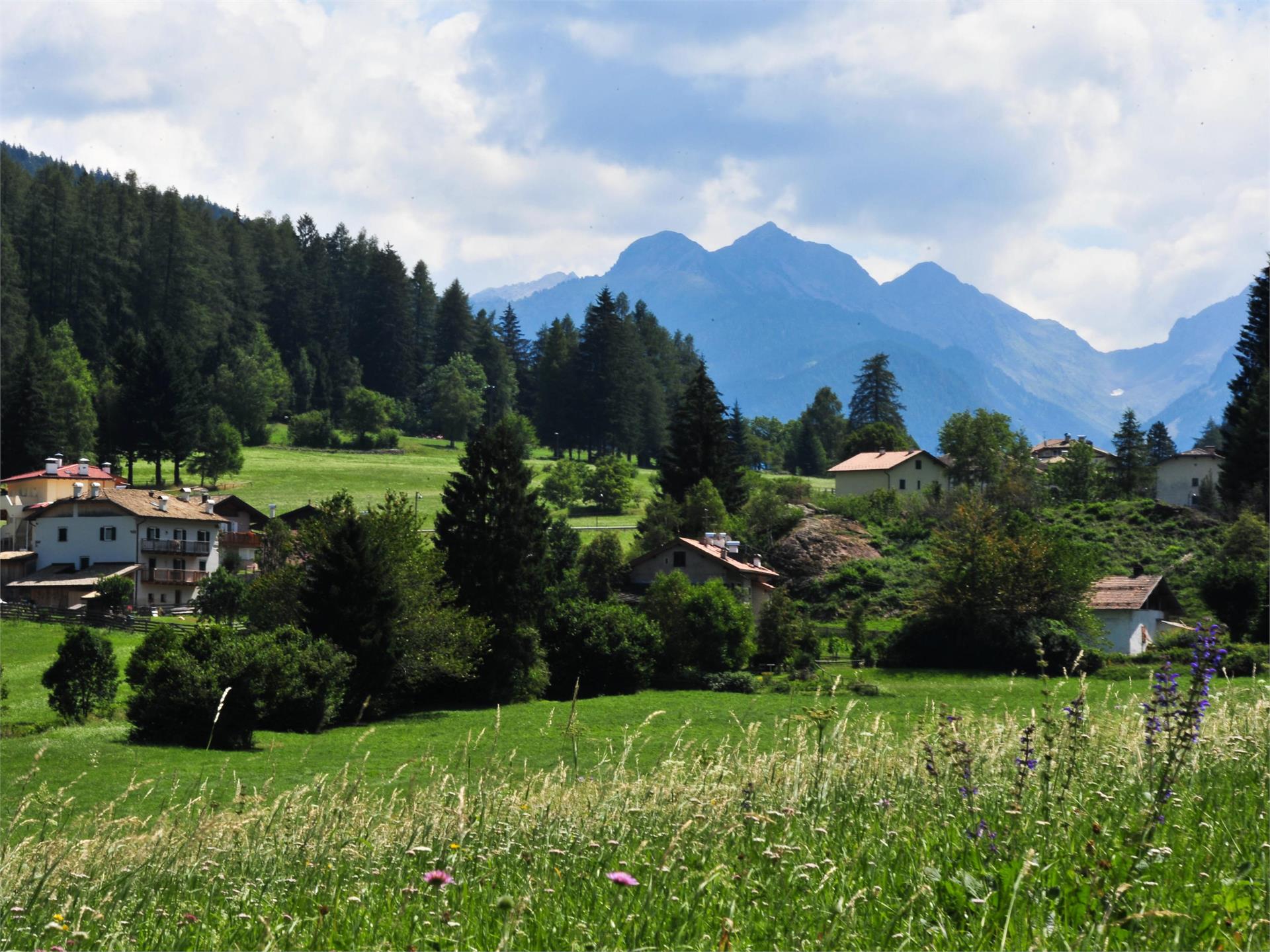 Trodena-Collegamento Pista ciclabile Val di Fiemme Anterivo 4 suedtirol.info