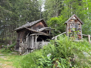 Tonis Woldwegile – Naturerlebnisweg in Antholz Mittertal - Rasen-Antholz - #5 - suedtirol.info