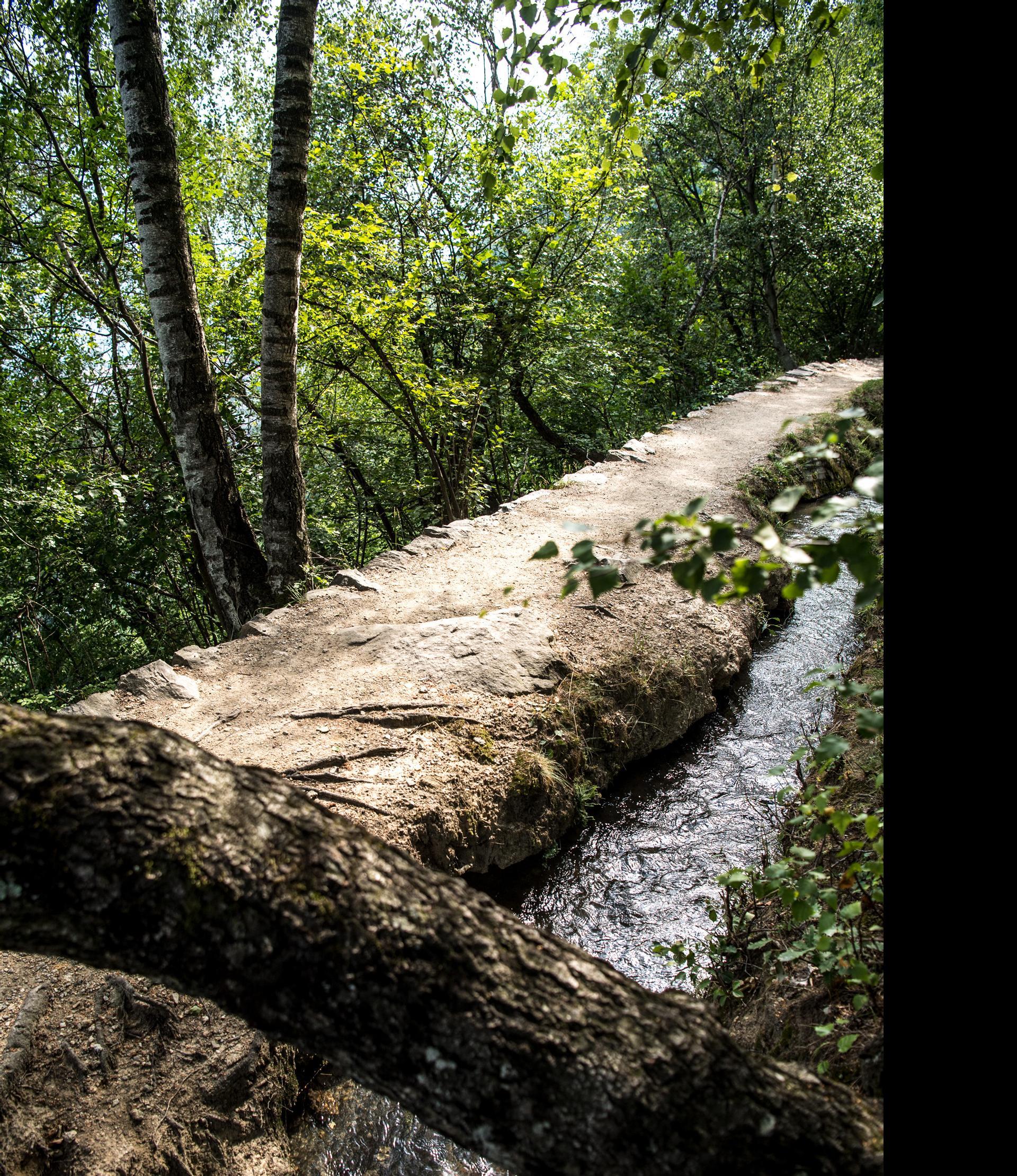 Sentiero per "Terrainkur" n° 6 - Parcines – Vertigen – roggia di Parcines – Cascata di Parcines Naturno 4 suedtirol.info