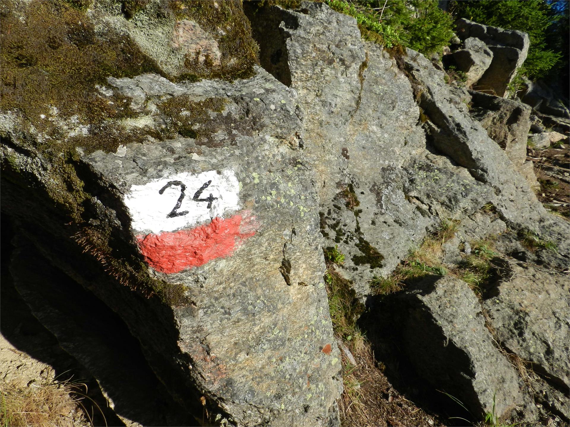 Über den Meraner Höhenweg zum Partschinser Wasserfall Partschins 4 suedtirol.info