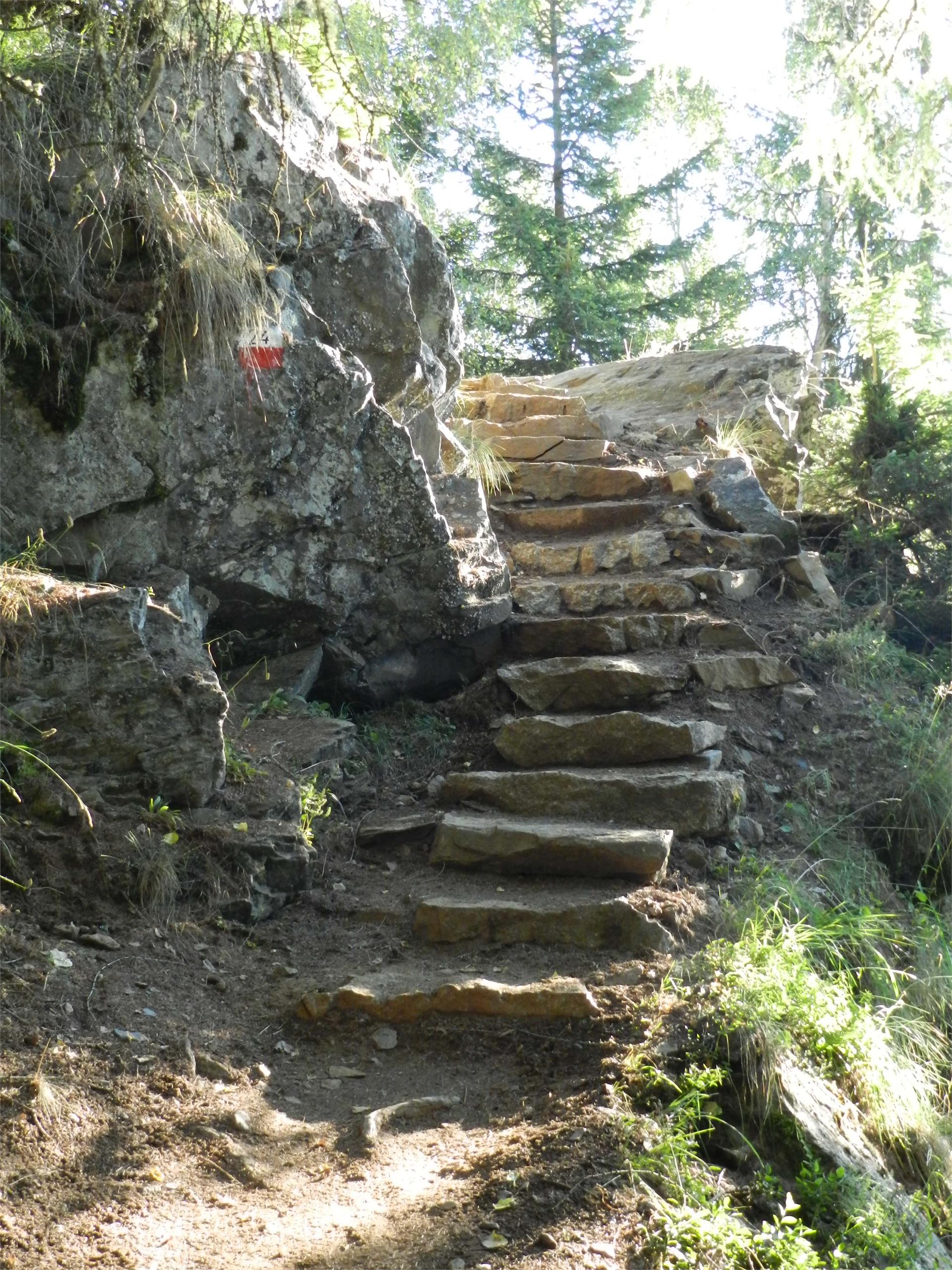 Über den Meraner Höhenweg zum Partschinser Wasserfall Partschins 7 suedtirol.info