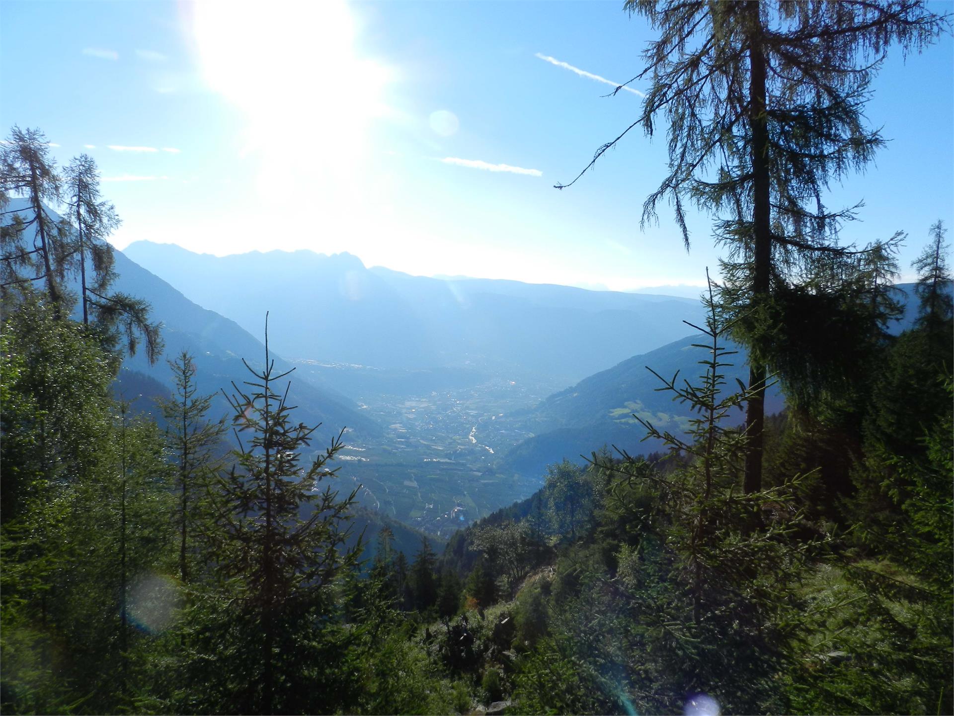 Über den Meraner Höhenweg zum Partschinser Wasserfall Partschins 8 suedtirol.info