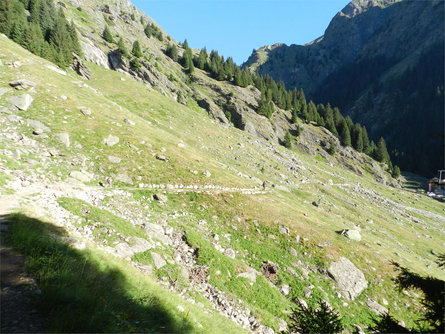 Sull'Alta Via di Merano n° 24 verso la cascata di Parcines Parcines 9 suedtirol.info