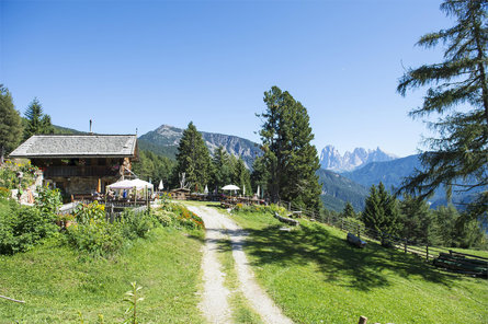 Unterpulg hut - Ristoro Pedrutsch Lajen/Laion 1 suedtirol.info