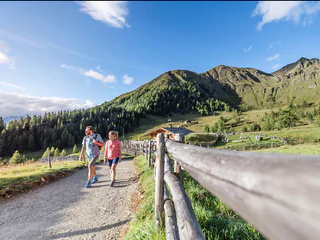Über den Almenweg zur Mahd Alm - Schenna - #4 - suedtirol.info