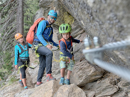 Attraverso la Schöllberg Alm [malga] a Lutago Valle Aurina 5 suedtirol.info