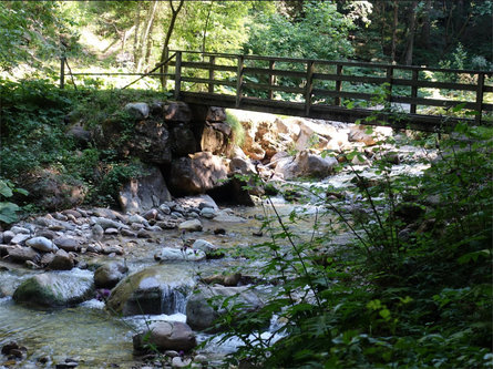 Sul sentiero del torrente fino al Castello Wehrburg a Prissiano Tesimo 4 suedtirol.info
