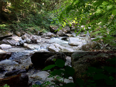 Sul sentiero del torrente fino al Castello Wehrburg a Prissiano Tesimo 3 suedtirol.info