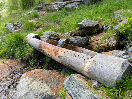 Madonna di Senales - Malga Lafetz Senales 2 suedtirol.info