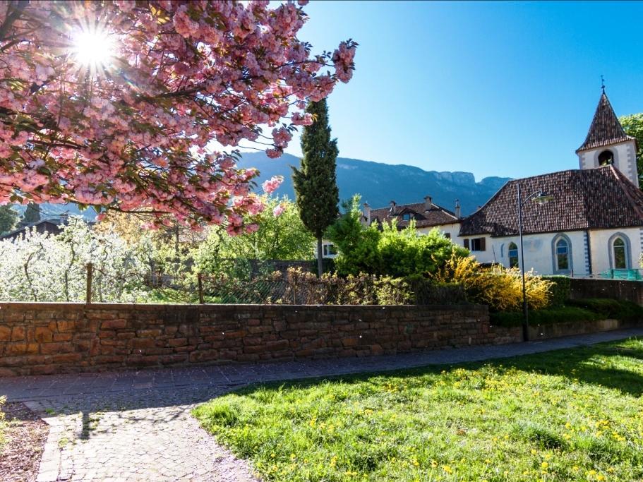 Überetscher Spazierweg nach Kaltern Eppan an der Weinstraße 1 suedtirol.info