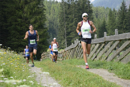 Corsa dei masi della Val d'Ultimo - Popolare (V) 8 km Ultimo 1 suedtirol.info