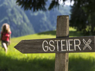 Von der Taser Alm zum Berggasthof Gsteier - Schenna - #3 - suedtirol.info