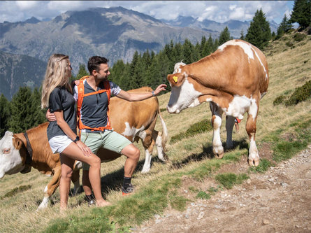 Da Grube sino alla malga Reseggeralm Scena 1 suedtirol.info