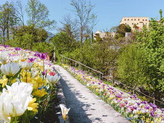 Von Schenna nach Trauttmansdorff - Meran - #3 - suedtirol.info