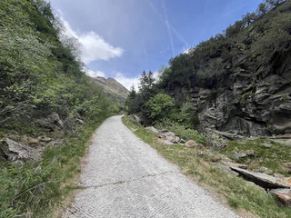 Von Maiern auf Schotterwegen zur Aglsbodenalm - Ratschings - #3 - suedtirol.info