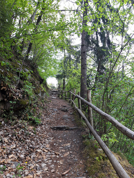 Da Parcines al Castel Tirolo - escursione primaverile Parcines 3 suedtirol.info