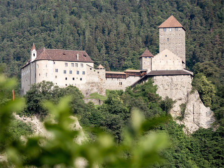 Da Parcines al Castel Tirolo - escursione primaverile Parcines 12 suedtirol.info