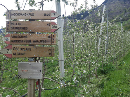 Da Parcines al Castel Tirolo - escursione primaverile Parcines 4 suedtirol.info