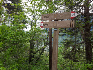 Von Partschins zum Schloss Tirol - Partschins - #8 - suedtirol.info