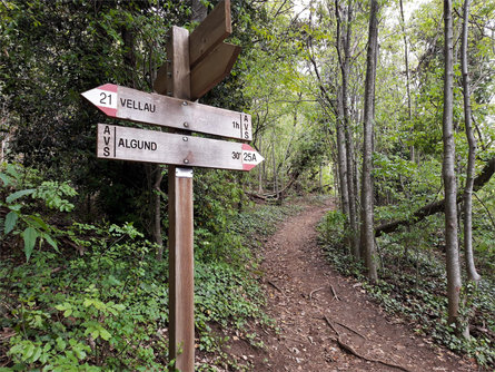 Da Parcines al Castel Tirolo - escursione primaverile Parcines 9 suedtirol.info