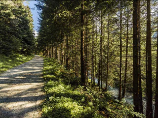 Valser Rundweg: Genusswanderung durch Natur, Dorfidylle und Bergblick - Mühlbach - #1 - suedtirol.info