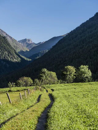 Valser Rundweg: Genusswanderung durch Natur, Dorfidylle und Bergblick - Mühlbach - #2 - suedtirol.info