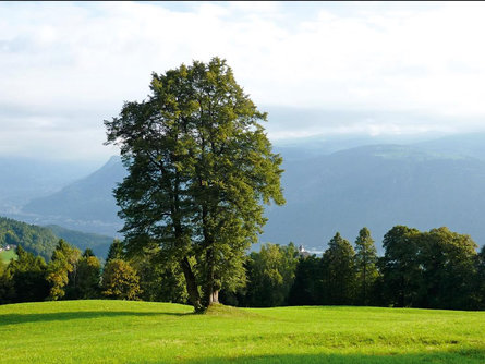 Von Obersirmian nach Grissian Nals 2 suedtirol.info