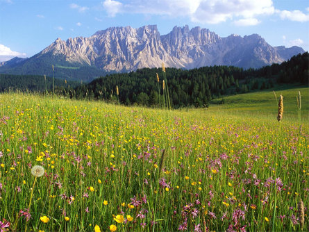 From the Malga Frommer Alm to the Lake Carezza Welschnofen/Nova Levante 1 suedtirol.info