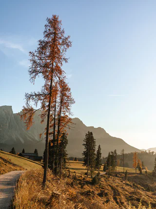 Von der Frommer Alm zum Karer See - Welschnofen - #5 - suedtirol.info