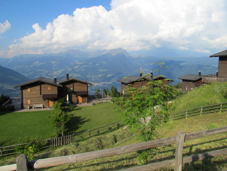 From Aschbach to the circular hiking trail Martinsweg Algund/Lagundo 1 suedtirol.info