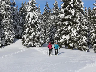 Große Panoramarunde am Vigiljoch - Lana - #4 - suedtirol.info