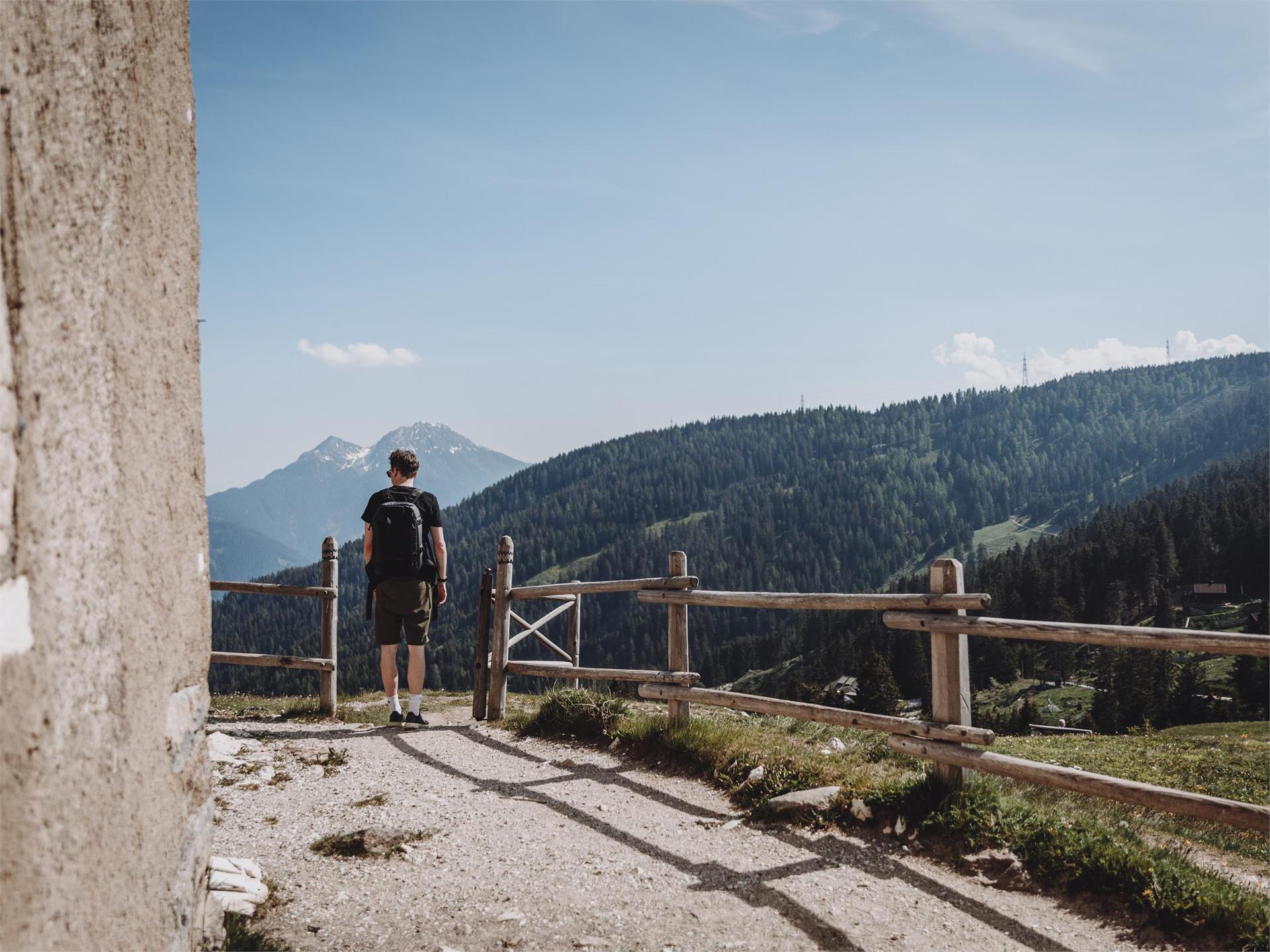 Vigiljoch Rundwanderung Lana 2 suedtirol.info