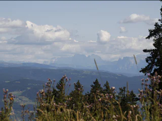 Vigiljoch - Bärenbad Alm - Naturnser Alm - Lana - #1 - suedtirol.info