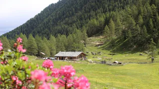 Von Mittertal zur Bergalm - Ratschings - #1 - suedtirol.info