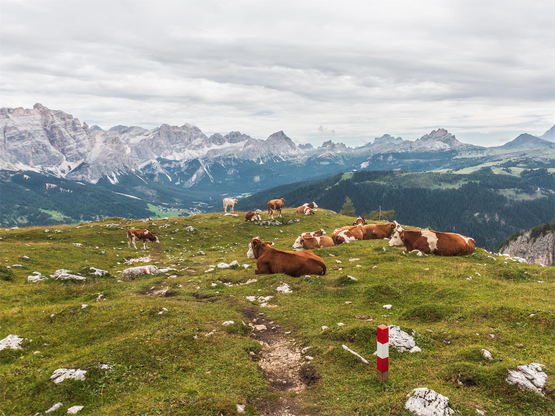 Da La Villa al Parco Naturale Puez  - patrimonio UNESCO Badia 3 suedtirol.info