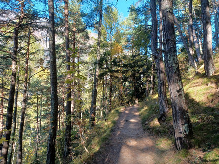 Da Rablà lungo il sentiero segreto "Rittersteig" a Naturno Parcines 4 suedtirol.info