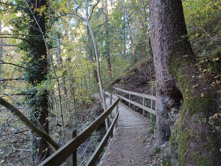 Da Rablà lungo il sentiero segreto "Rittersteig" a Naturno Parcines 2 suedtirol.info