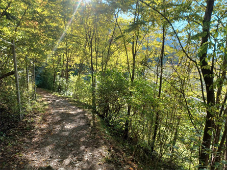 Da Rablà lungo il sentiero segreto "Rittersteig" a Naturno Parcines 7 suedtirol.info