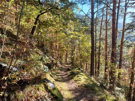 Da Rablà lungo il sentiero segreto "Rittersteig" a Naturno Parcines 9 suedtirol.info