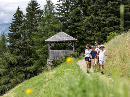 Dalla malga Taser alla malga Streitweideralm Scena 1 suedtirol.info