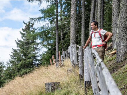 Dalla malga Taser alla malga Streitweideralm Scena 4 suedtirol.info