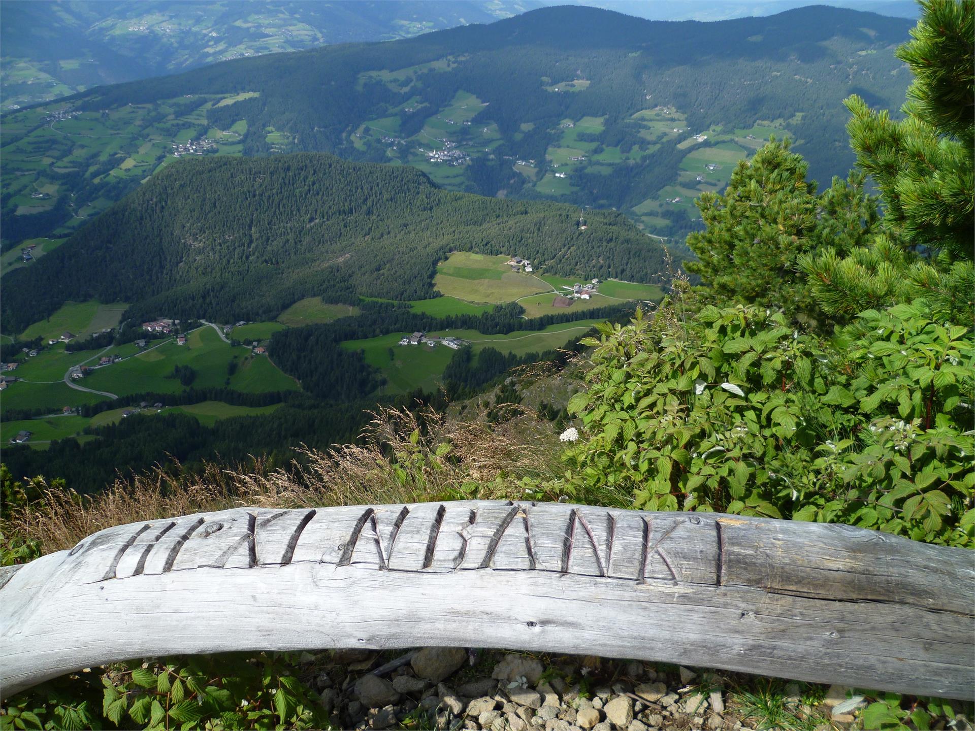 Da Castelrotto alle Panche delle Streghe sulla Bullaccia Castelrotto 2 suedtirol.info