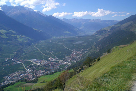 From St. Martin to Schlanders Latsch/Laces 2 suedtirol.info