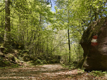 Von Nals nach Andrian Nals 1 suedtirol.info