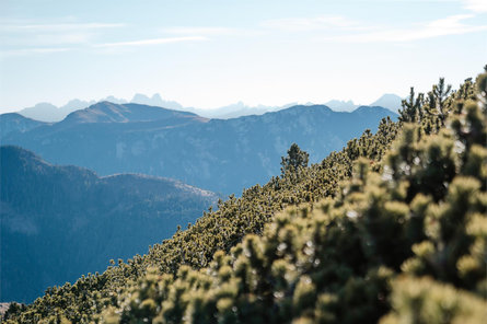 Da Redagno di Sotto sul Corno Nero Aldino 3 suedtirol.info