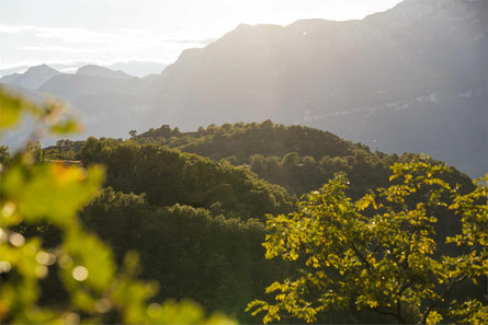 Via Claudia Augusta, Merano-Salorno Terlano 4 suedtirol.info