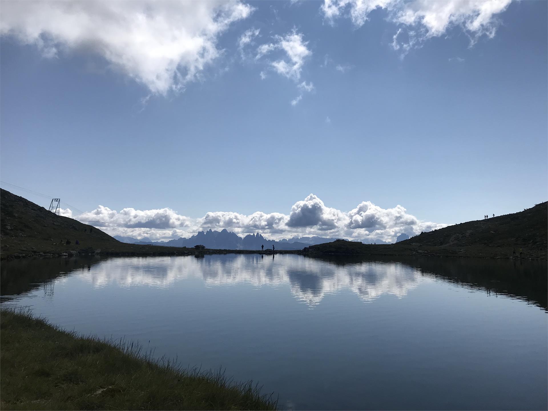 Da Caredo al Monte Ponente alla Cima Cane e al Rifugio Lago Rodella Bressanone 1 suedtirol.info