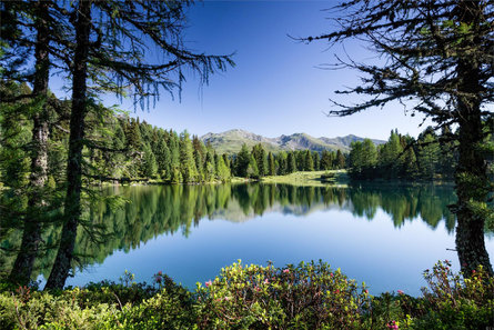 Von Schalders zu den Schrüttenseen Vahrn 2 suedtirol.info